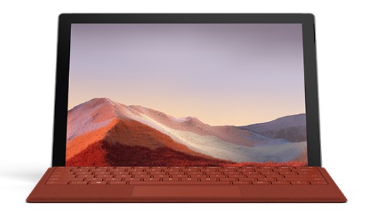铅山清洁和维护 Surface